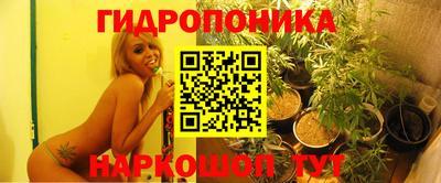 сатива Коммунар