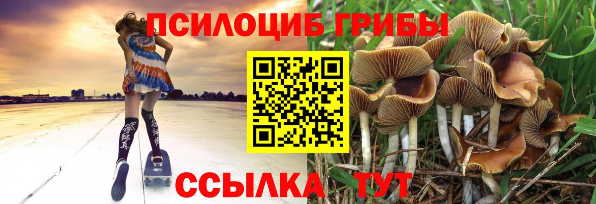 Галлюциногенные грибы GOLDEN TEACHER Южно-Сахалинск